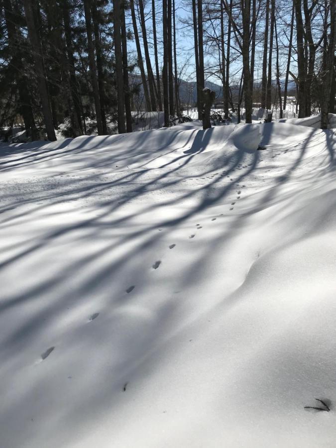 Hakuba Cottage Gram المظهر الخارجي الصورة