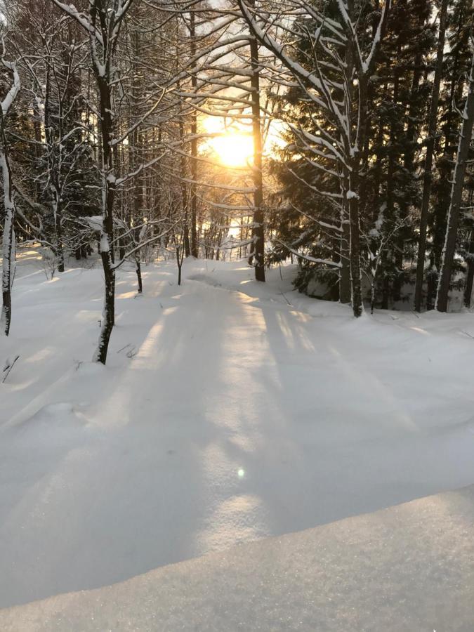 Hakuba Cottage Gram المظهر الخارجي الصورة