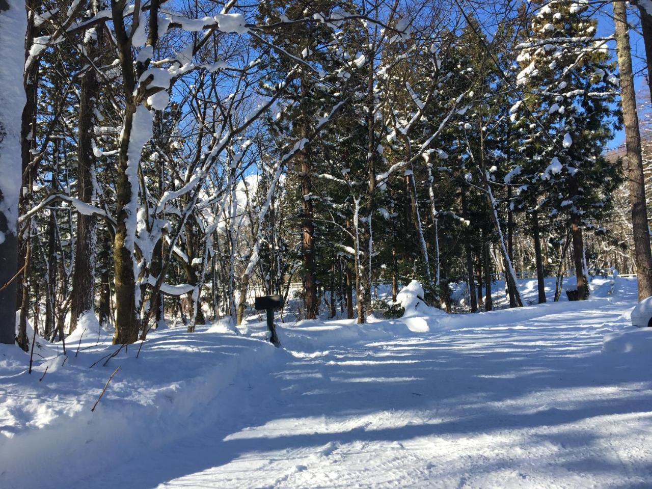Hakuba Cottage Gram المظهر الخارجي الصورة