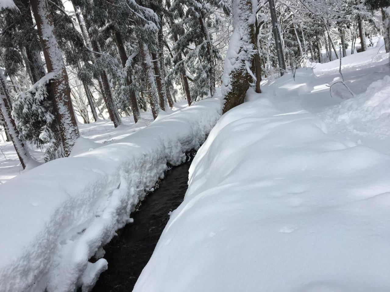 Hakuba Cottage Gram المظهر الخارجي الصورة
