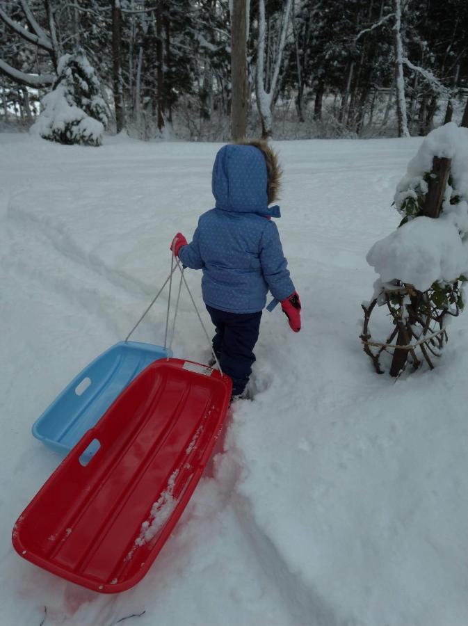 Hakuba Cottage Gram المظهر الخارجي الصورة