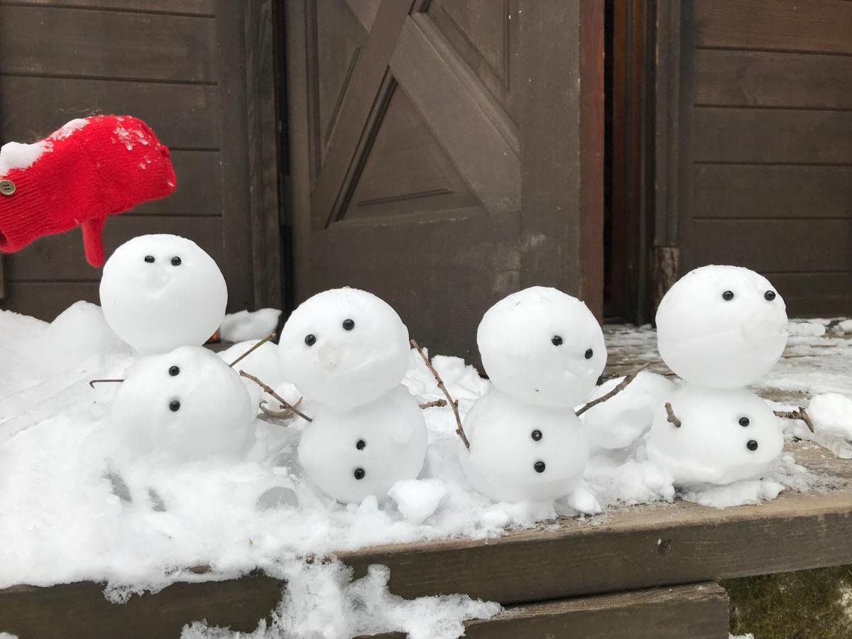 Hakuba Cottage Gram المظهر الخارجي الصورة
